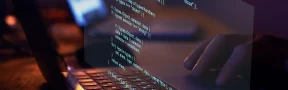 Exportación de software