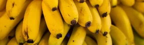 Banano colombiano