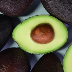 Mercado global de aguacate
