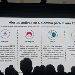 Carga de enfermedad y transición epidemiológica en Colombia