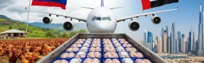 exportación de carne de pollo colombiana a los Emiratos Árabes Unidos