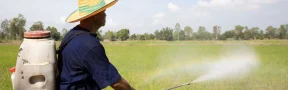 fertilizantes