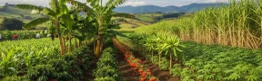 Producción de alimentos en Colombia