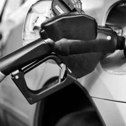 Gasolina