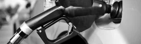 Gasolina