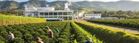 Agro