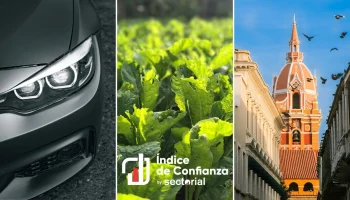 Confianza Sectorial