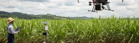 uso de sensores en cultivos de caña