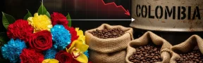 flores, petróleo y café