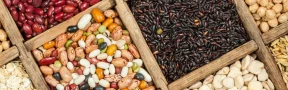 Producción cereales