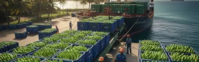 Exportación banano