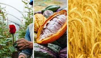 Sectores que más usaron endeudamiento financiero en Colombia