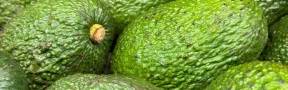 aguacate Hass