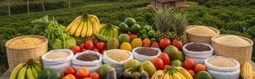 productos agrícolas Colombia