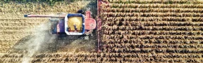 Agro colombiano