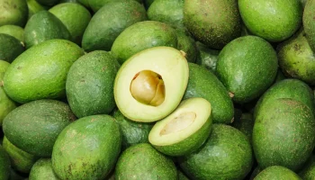aguacate en Colombia