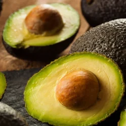 mercado mundial del aguacate