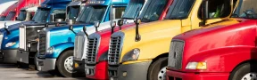 transportadores