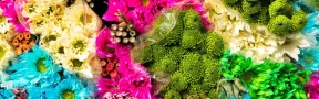 flores