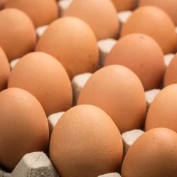huevos libres de jaula
