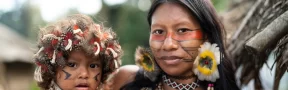 Indígenas se Oponen a la Siembra de Palma de Aceite en el Meta