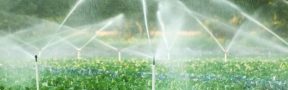 Insumos agrícolas