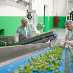 mercado laboral colombiano
