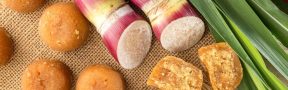 panelas_export