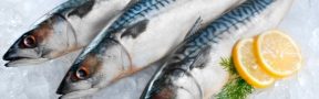 pescados