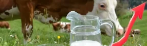 precio leche