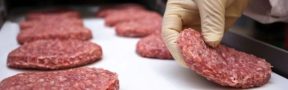 Producción de carne