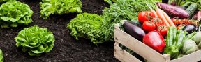 productos_agro
