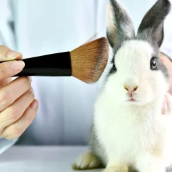 pruebas con animales en cosméticos