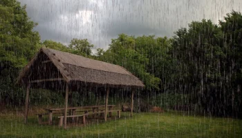 Lluvias