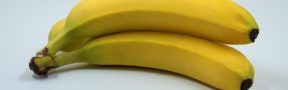 unnamed-file-1105.jpeg
