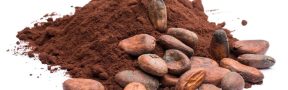 Cacao: ¿Nueva Droga Recreativa?