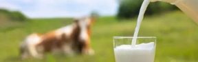 En Marzo, Córdoba y Sucre Reaccionaron de Forma Positiva al Comercio de Leche Cruda
