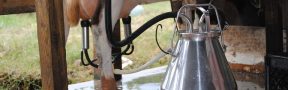 El Gobierno Seguirá Regulando los Precios de la Leche
