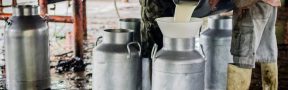 Más de 100.000 Litros de Leche Diarios se Están Dejando de Recoger el Cundinamarca