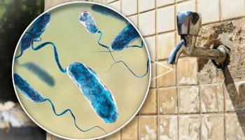 ¿Cómo un Mapa Curó el Cólera y Cambió la Historia de la Visualización de Datos?