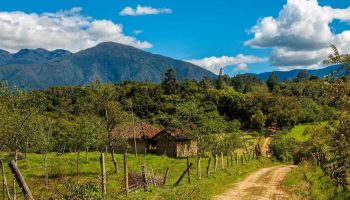 Impacto Estimado del Programa Colombia Rural: Acercar el Campo a la Ciudad con la Mejora de las Vías Terciarias