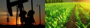 ¿Puede Colombia Sustituir el Petróleo con el Sector Agro?