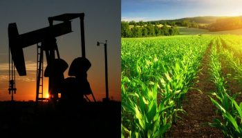 ¿Puede Colombia Sustituir el Petróleo con el Sector Agro?