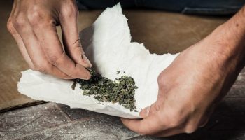 Cannabis Recreativo: una Legislación para el Largo Plazo en Colombia