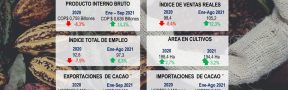 Ficha Económica Cacao y Chocolate Noviembre de 2021: Se Rompen Récords Históricos de Producción en Colombia