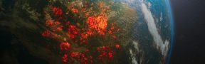 ¿Qué ha Pasado con los Incendios del Amazonas?