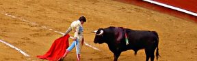 Las Corridas de Toros: ¿Realmente esta Industria Tiene un Impacto Económico Relevante?
