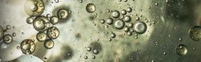 El Aumento del Precio de Aceite de Soya y Consumo de Biodiésel Jalonan el Valor del Aceite de Palma