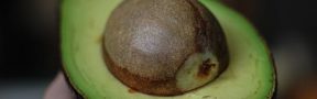 En Corea del Sur ya se Comercializa Aceite de Aguacate Colombiano