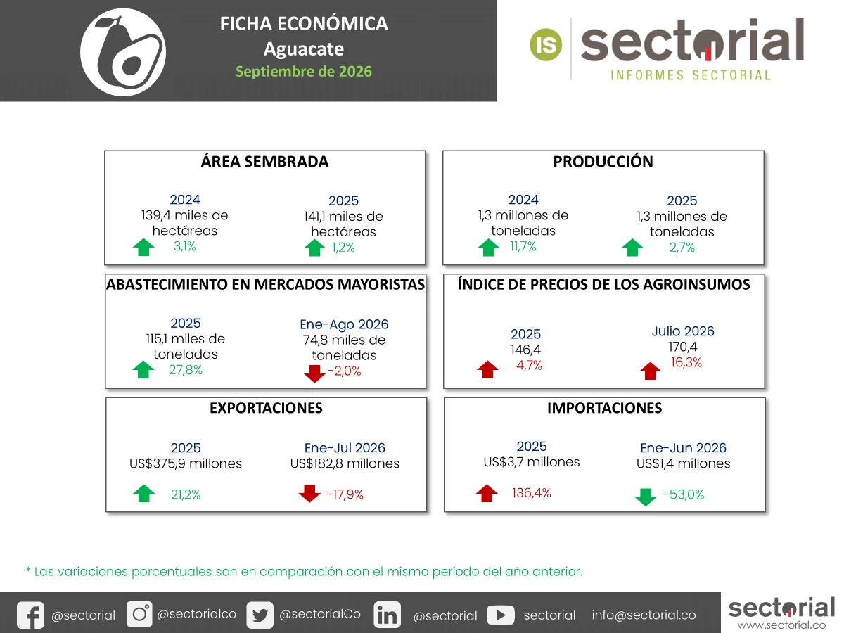 Aguacate
